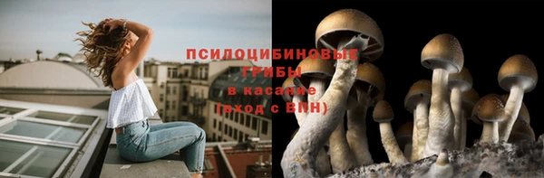 PSILOCYBIN Зеленокумск