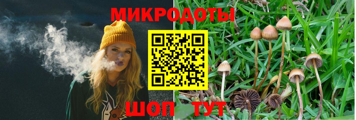 Галлюциногенные грибы Cubensis  Вход с VPN  Кинешма  Псилоцибиновые грибы ЛСД 
