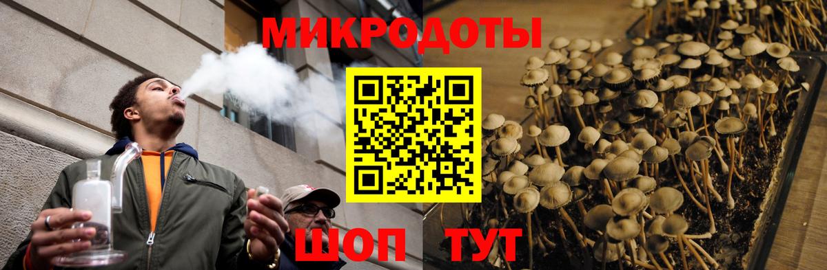 Псилоцибиновые грибы GOLDEN TEACHER Кинешма