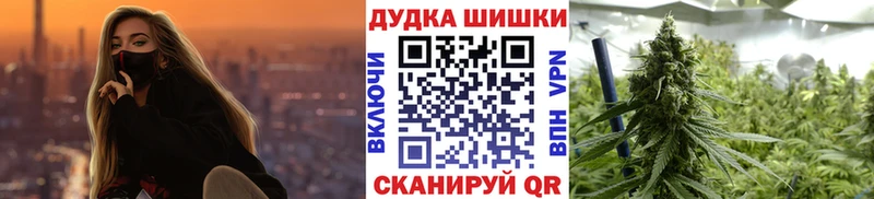 ОМГ ОМГ зеркало Кинешма Канабис сатива